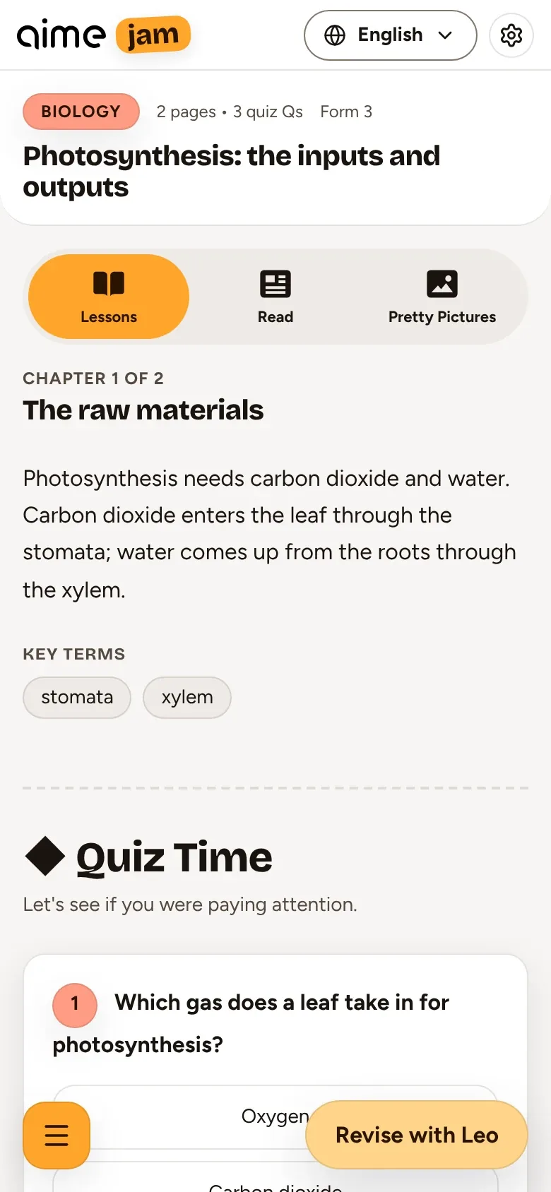 The take-home lesson page on a phone